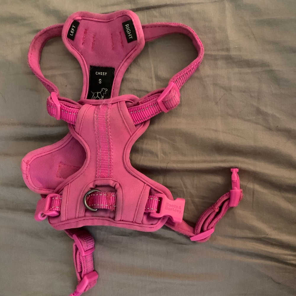 Small Boots and Barkley Pink Dog Harness